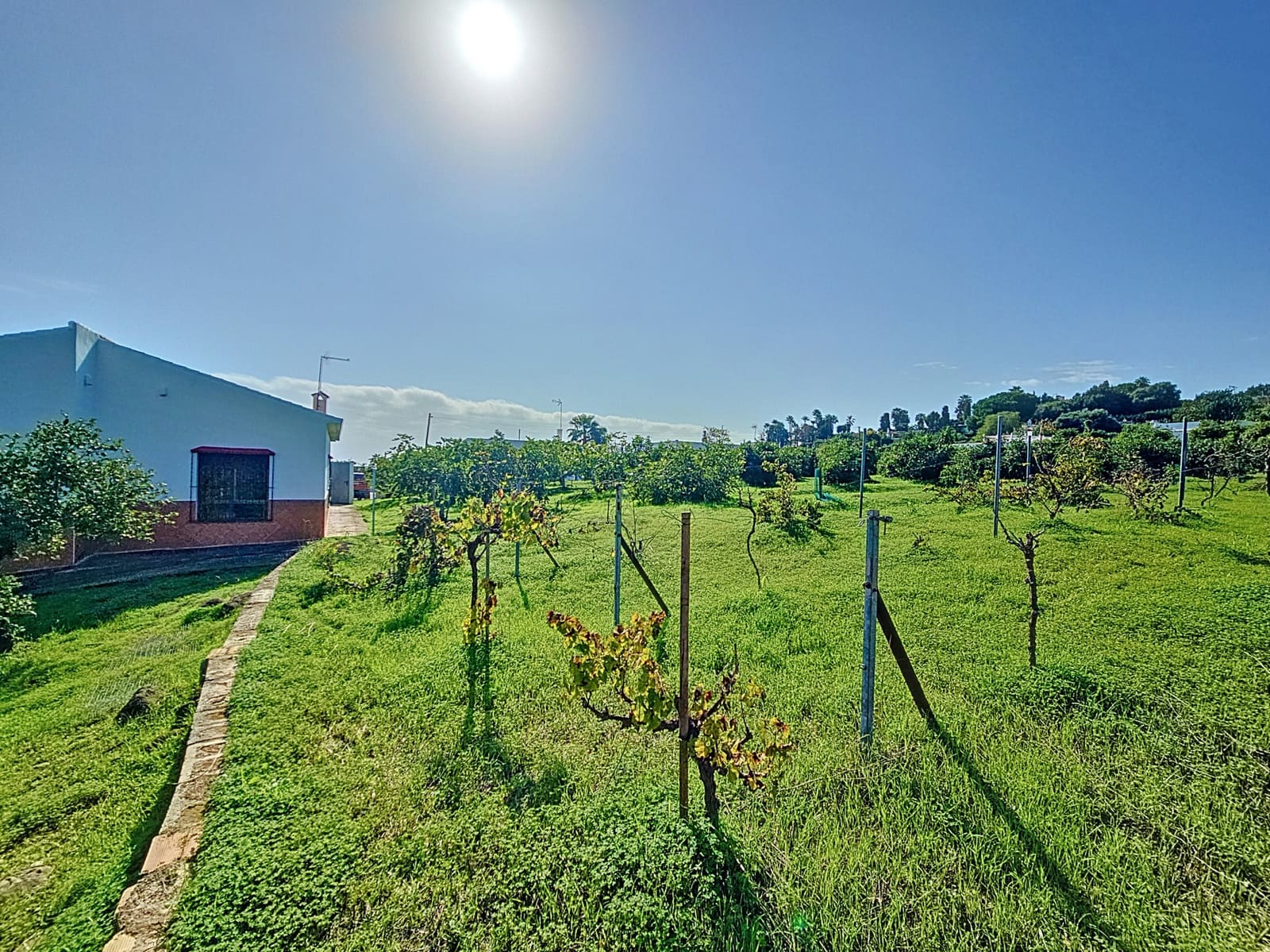 3 sovrum Finca/Hus på landet till salu i El Padron med garage - 505 000 € (Ref: 8619838)