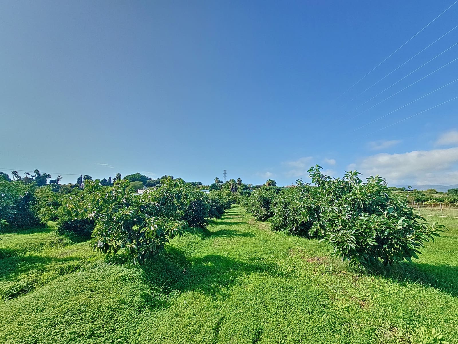 3 sovrum Finca/Hus på landet till salu i El Padron med garage - 505 000 € (Ref: 8619838)