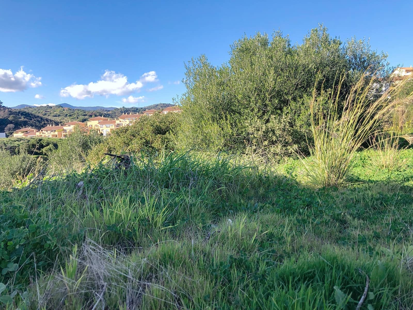Building Plot for sale in Estepona - € 350,000 (Ref: 8770259)