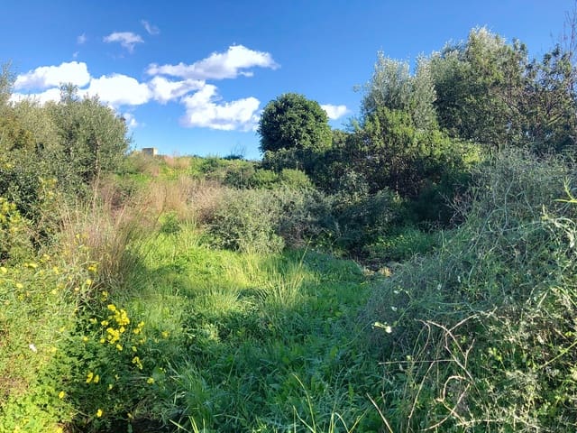 Terreno para Construção para venda em Estepona - 380 000 € (Ref: 8770260)