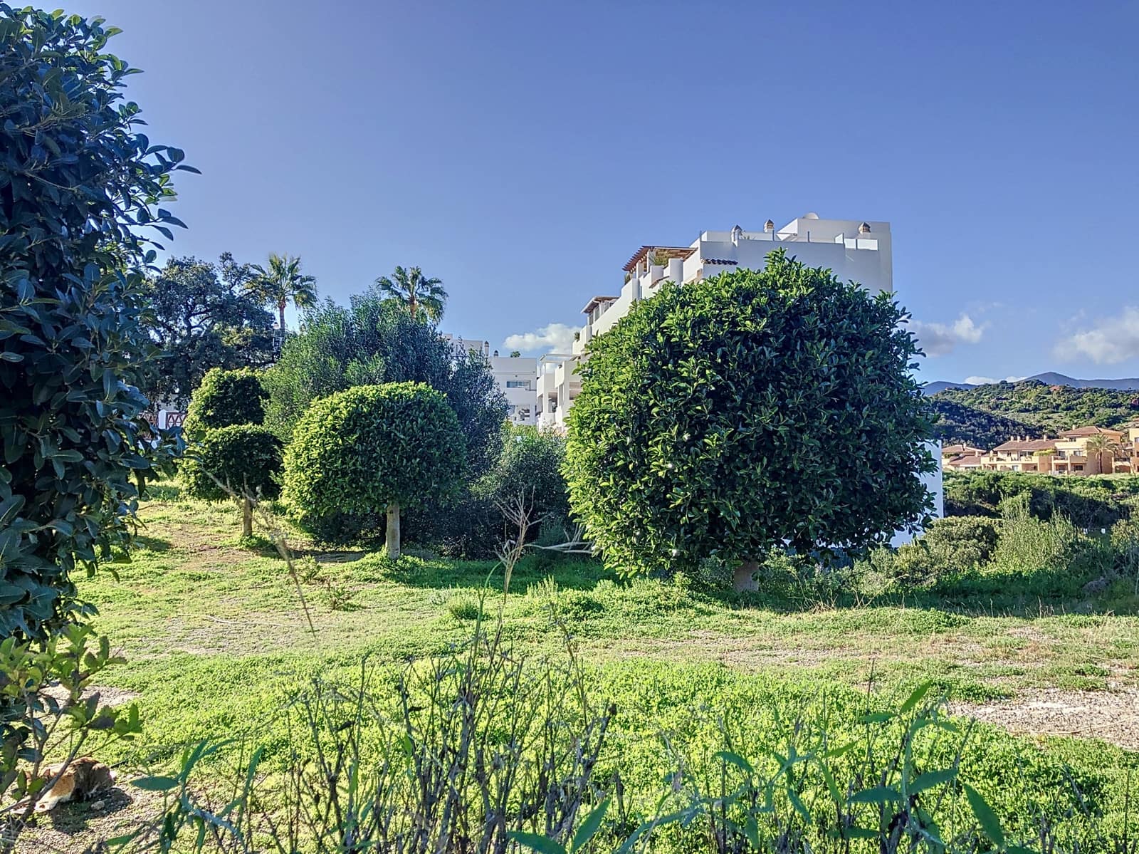 Byggegrund til salg i Estepona - € 380.000 (Ref: 8770260)