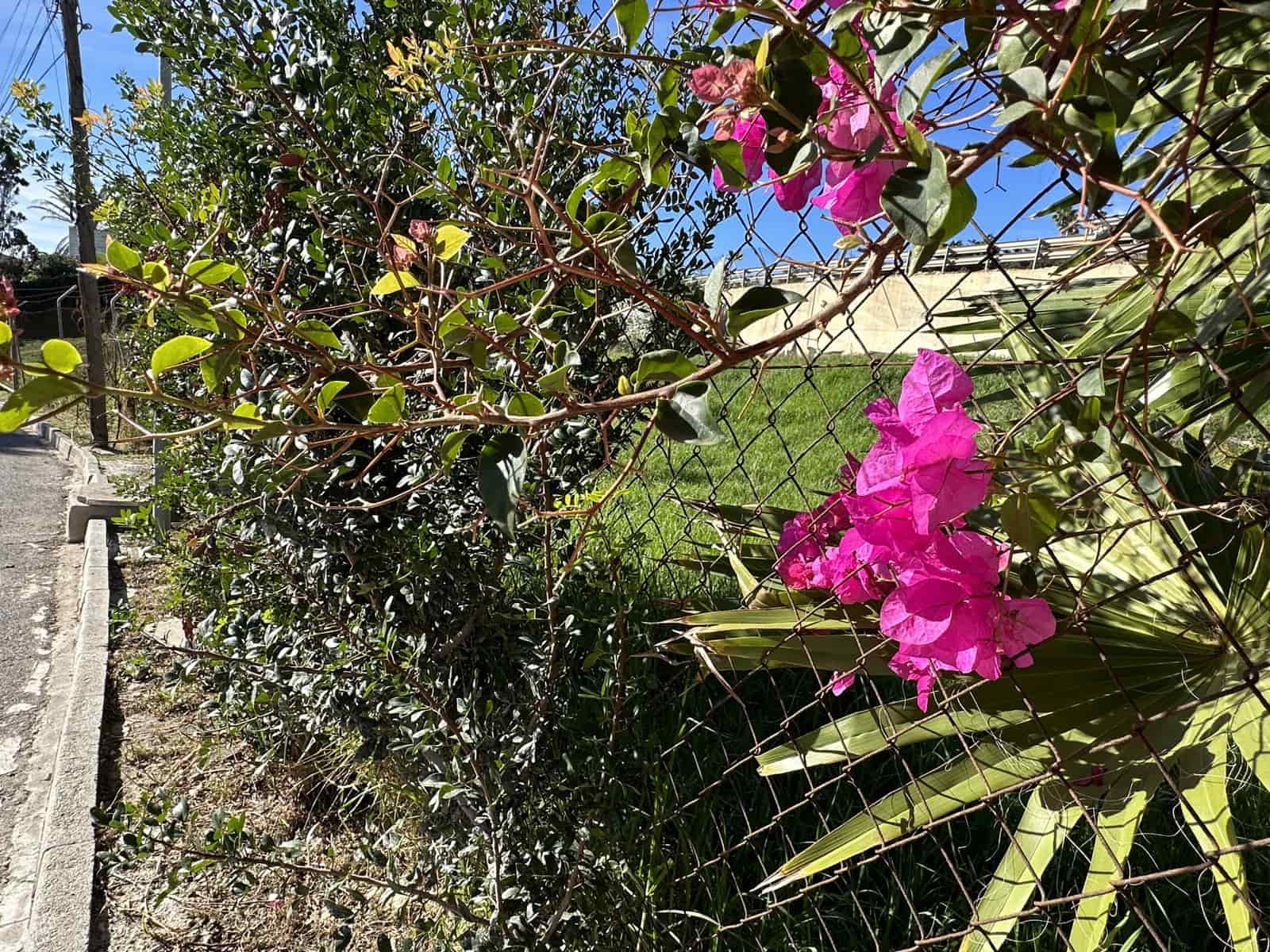 Działka budowlana na sprzedaż w Buenas Noches - 255 000 € (Ref: 8941282)