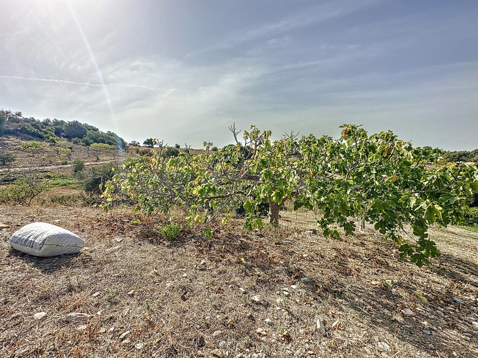 2 quarto Quinta/Casa Rural para venda em Estepona com piscina garagem - 749 000 € (Ref: 9561563)