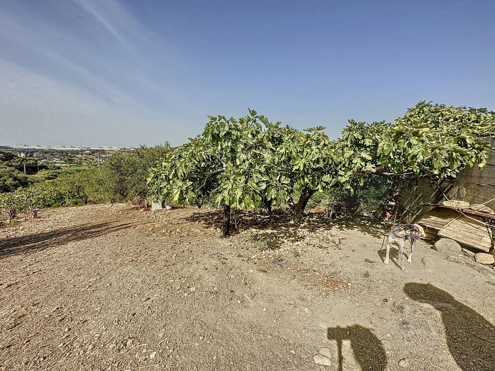 2 quarto Quinta/Casa Rural para venda em Estepona com piscina garagem - 749 000 € (Ref: 9561563)