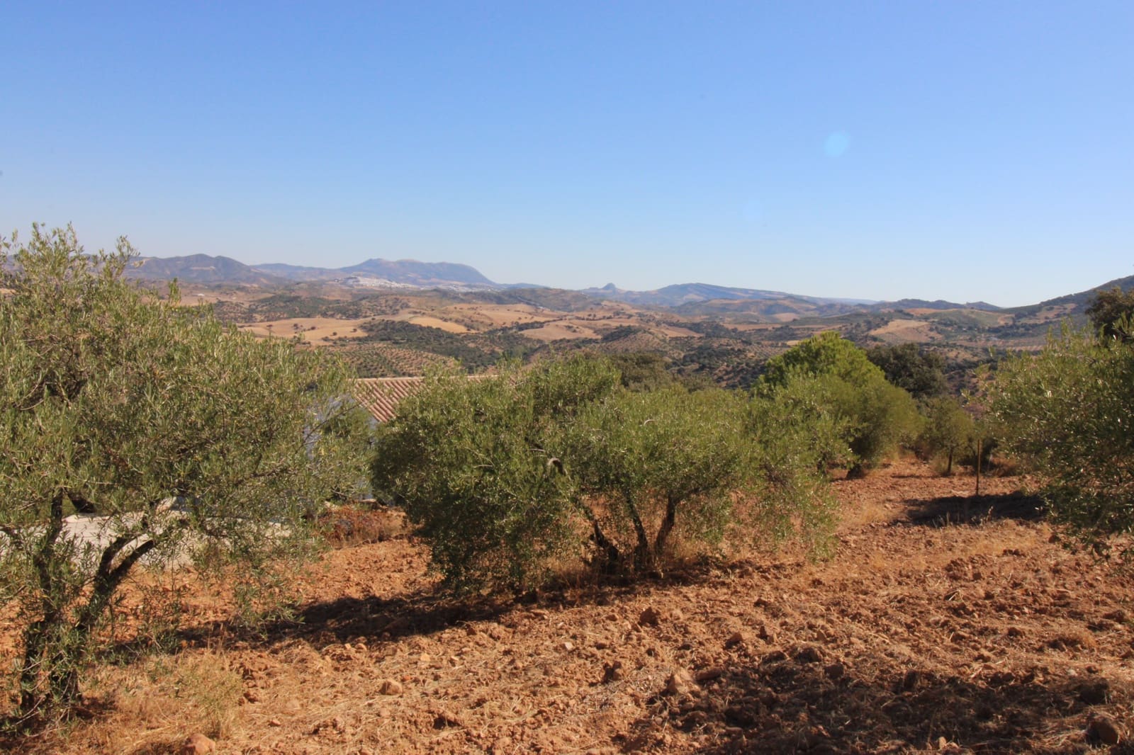 3 camera da letto Finca/Casa di Campagna in vendita in El Gastor con piscina garage - 550.000 € (Rif: 10077259)