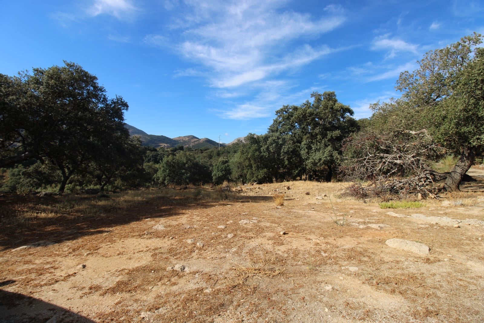 3 bedroom Finca/Country House for sale in Ronda - € 525,000 (Ref: 10161992)
