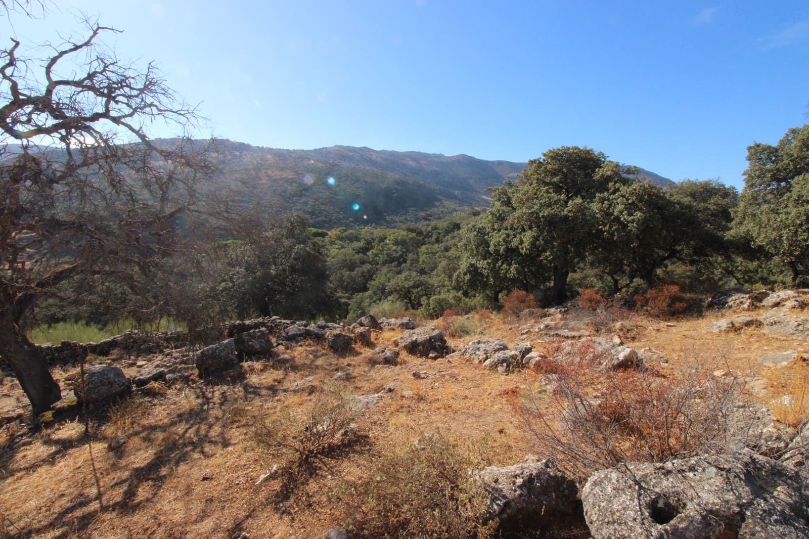 3 bedroom Finca/Country House for sale in Ronda - € 525,000 (Ref: 10161992)