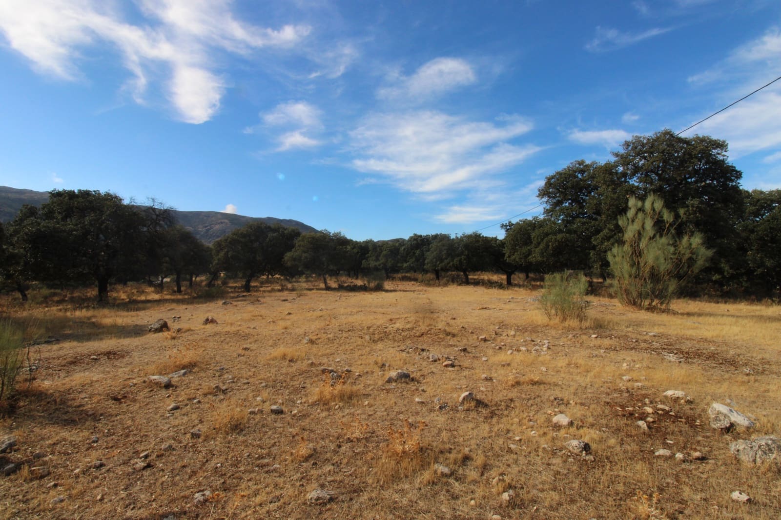 3 bedroom Finca/Country House for sale in Ronda - € 525,000 (Ref: 10161992)