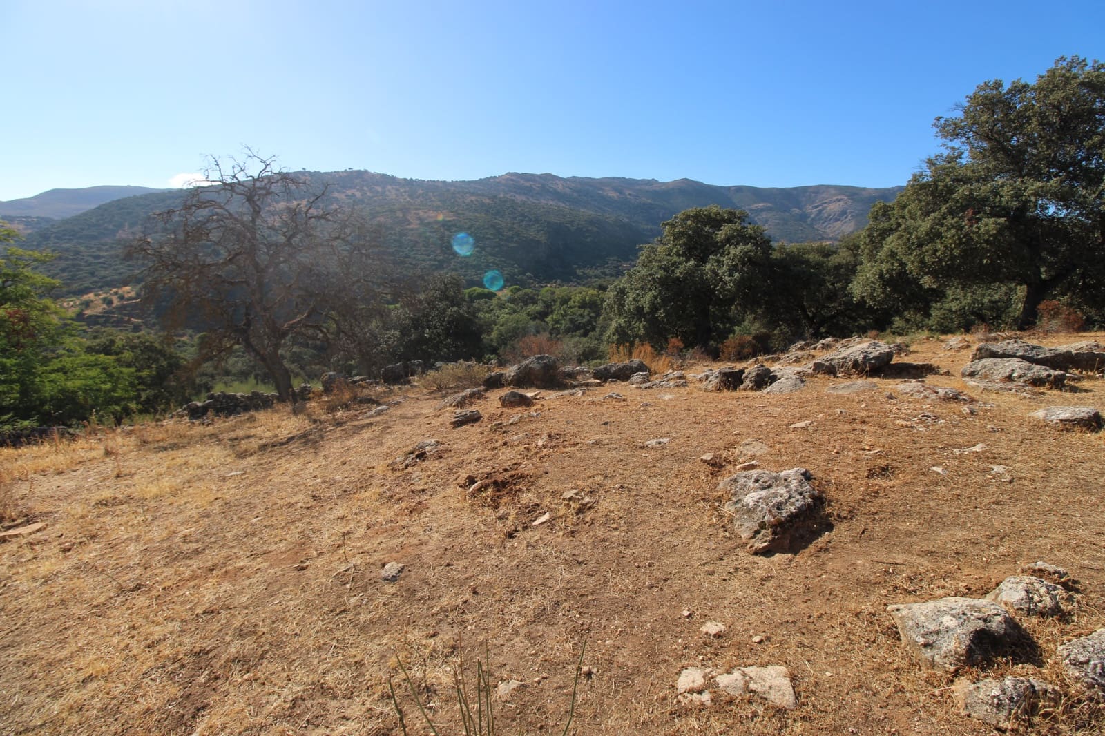 3 bedroom Finca/Country House for sale in Ronda - € 525,000 (Ref: 10161992)