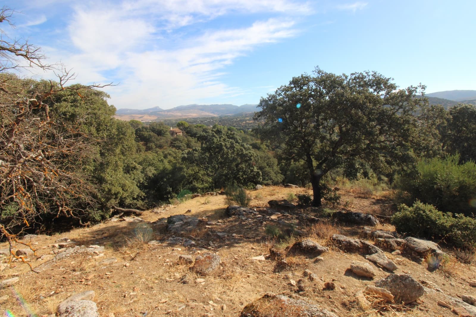 3 bedroom Finca/Country House for sale in Ronda - € 525,000 (Ref: 10161992)