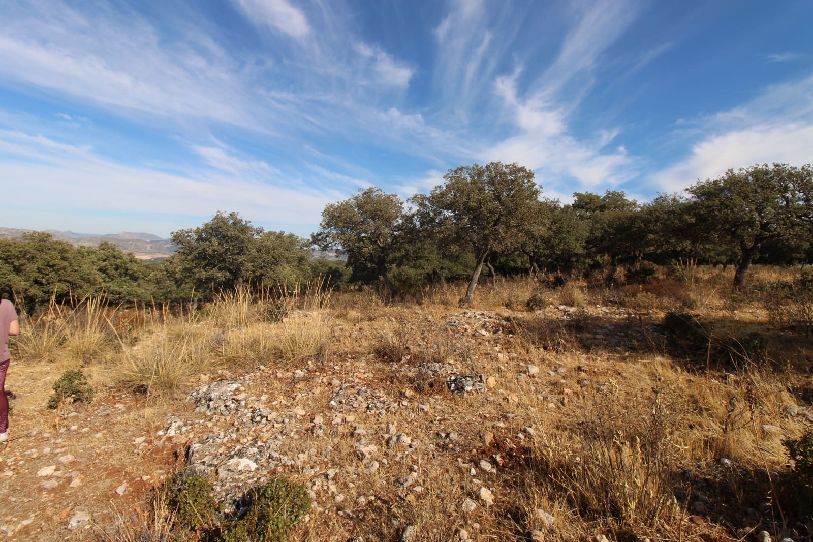 3 bedroom Finca/Country House for sale in Ronda - € 525,000 (Ref: 10161992)
