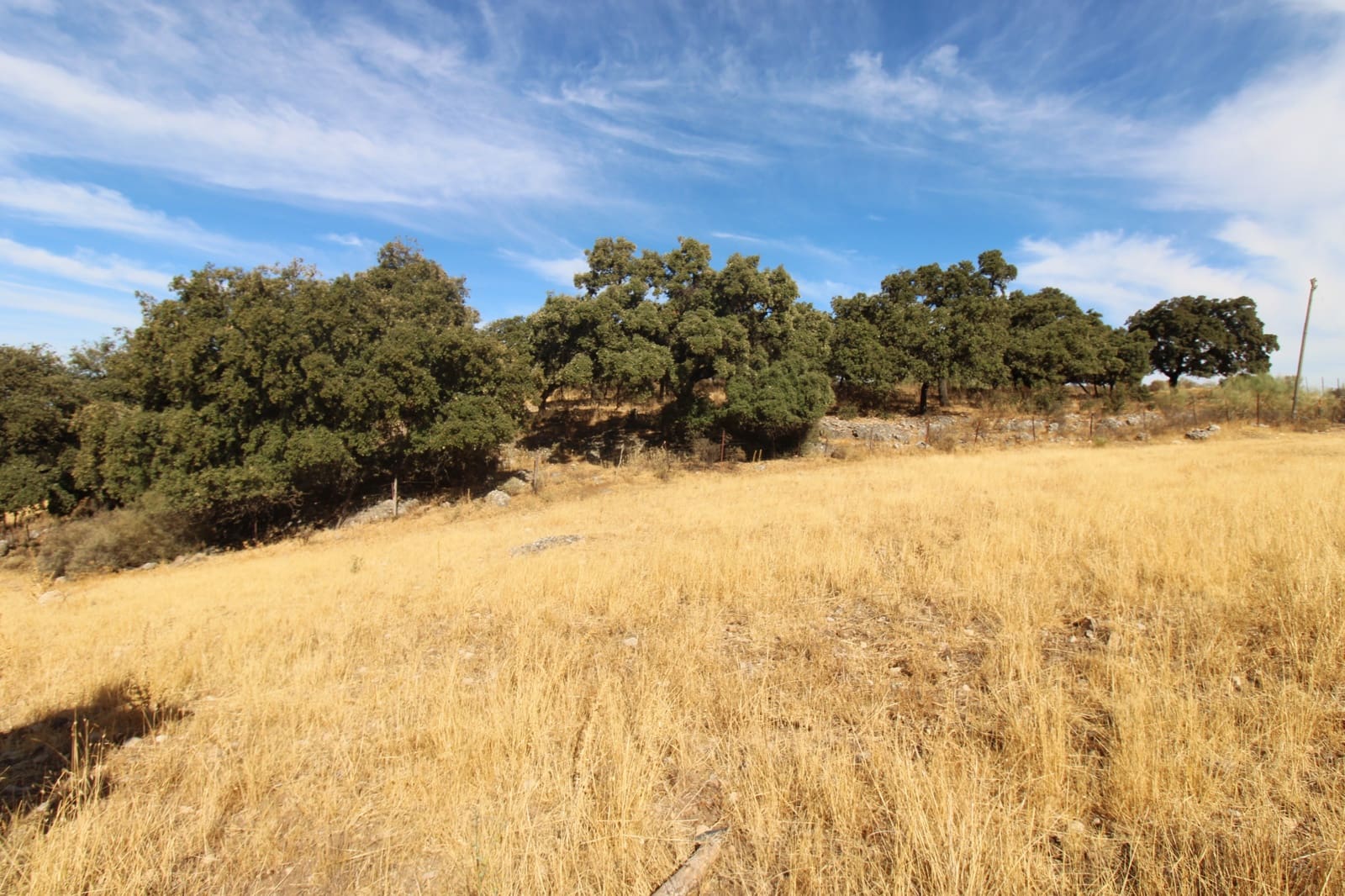 3 bedroom Finca/Country House for sale in Ronda - € 525,000 (Ref: 10161992)