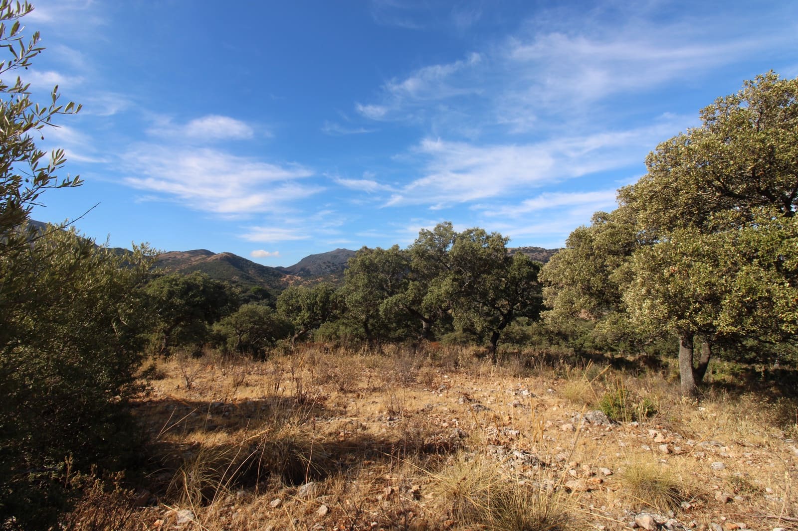 3 bedroom Finca/Country House for sale in Ronda - € 525,000 (Ref: 10161992)