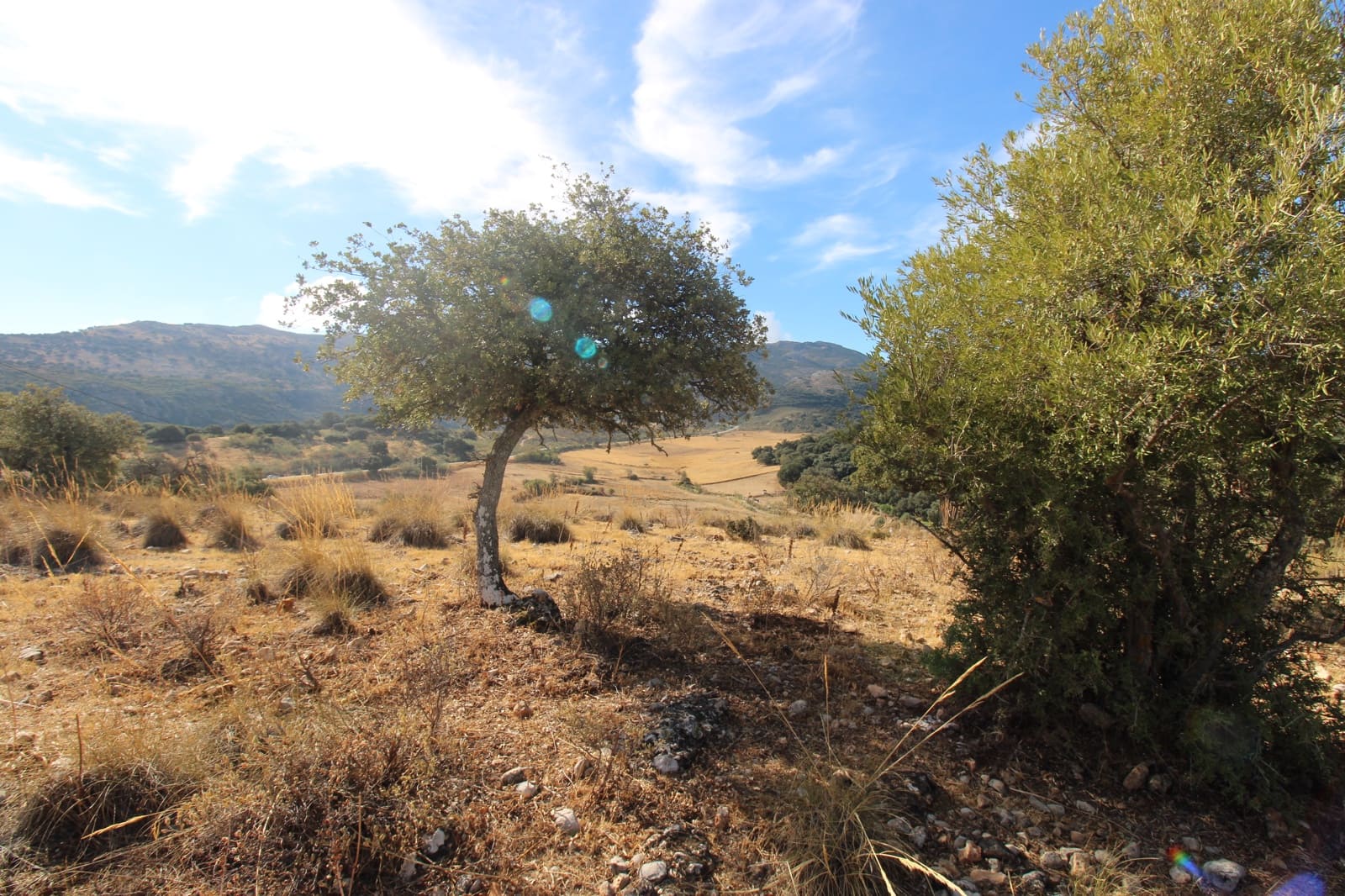 3 bedroom Finca/Country House for sale in Ronda - € 525,000 (Ref: 10161992)