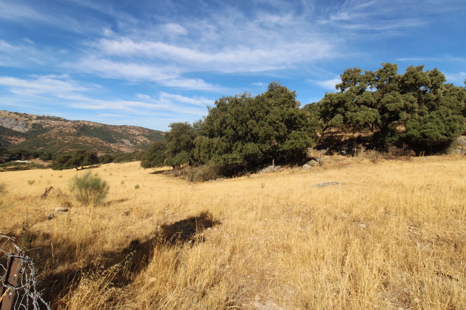 3 bedroom Finca/Country House for sale in Ronda - € 325,000 (Ref: 10162049)