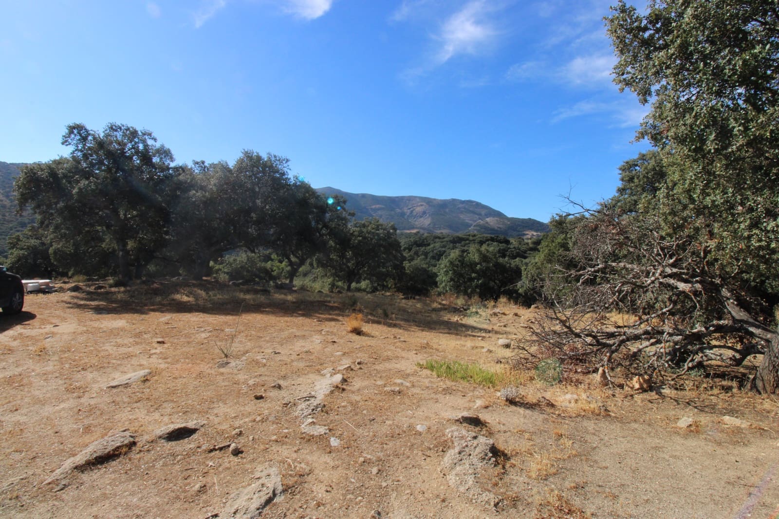 3 bedroom Finca/Country House for sale in Ronda - € 325,000 (Ref: 10162049)