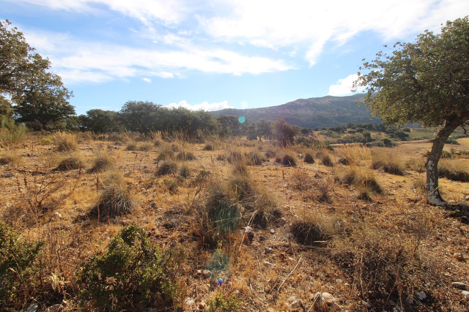 3 bedroom Finca/Country House for sale in Ronda - € 325,000 (Ref: 10162049)