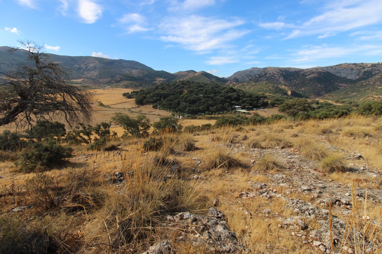 3 bedroom Finca/Country House for sale in Ronda - € 325,000 (Ref: 10162049)
