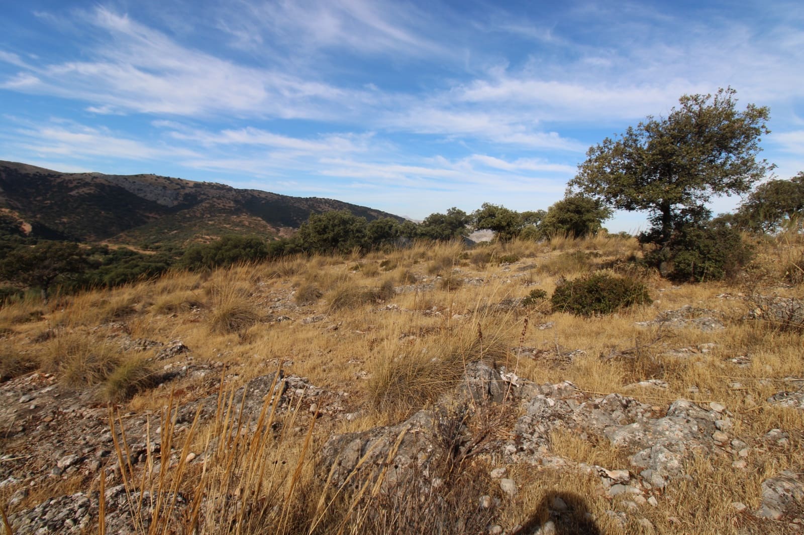 3 bedroom Finca/Country House for sale in Ronda - € 325,000 (Ref: 10162049)
