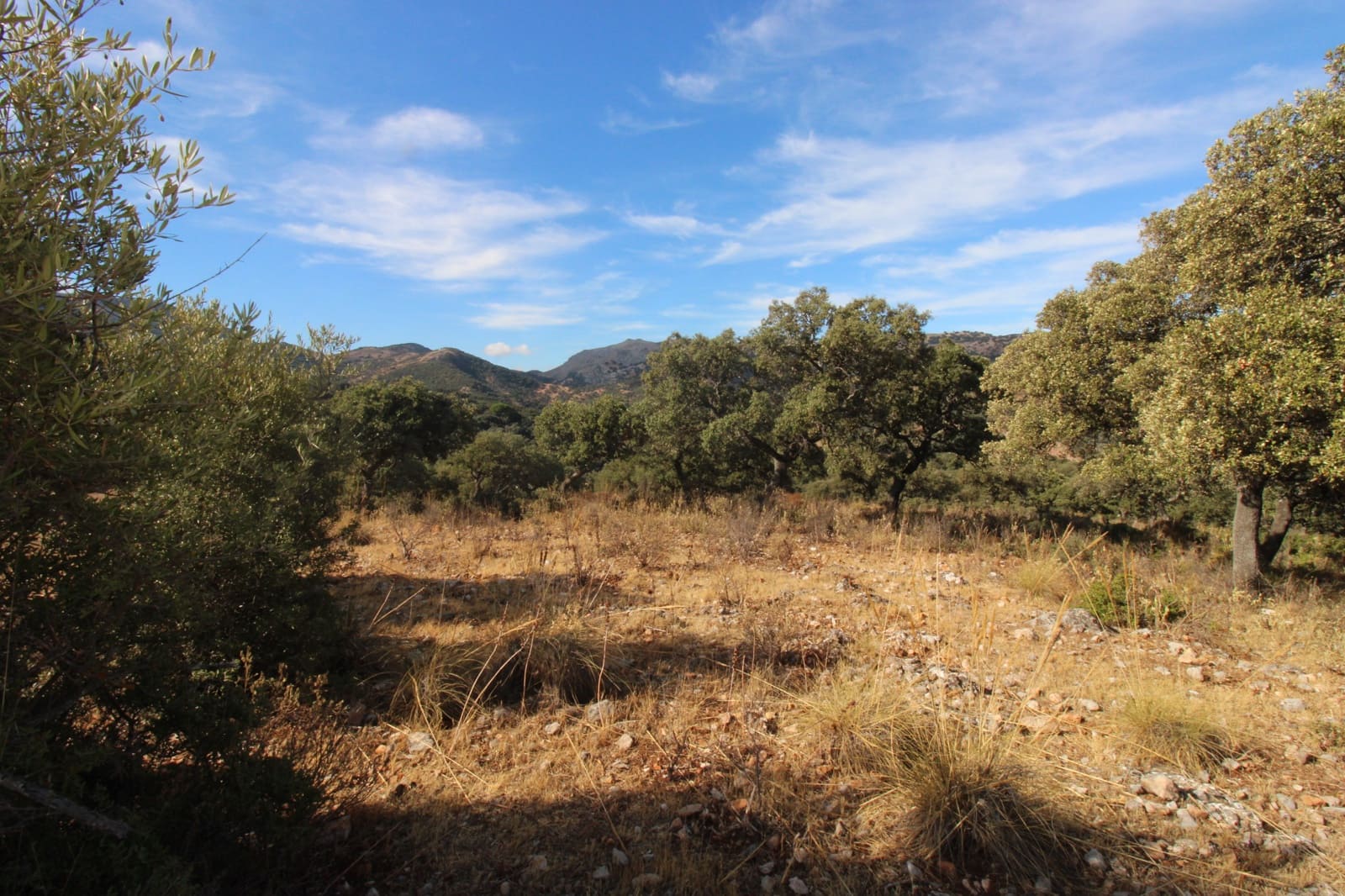 3 bedroom Finca/Country House for sale in Ronda - € 325,000 (Ref: 10162049)
