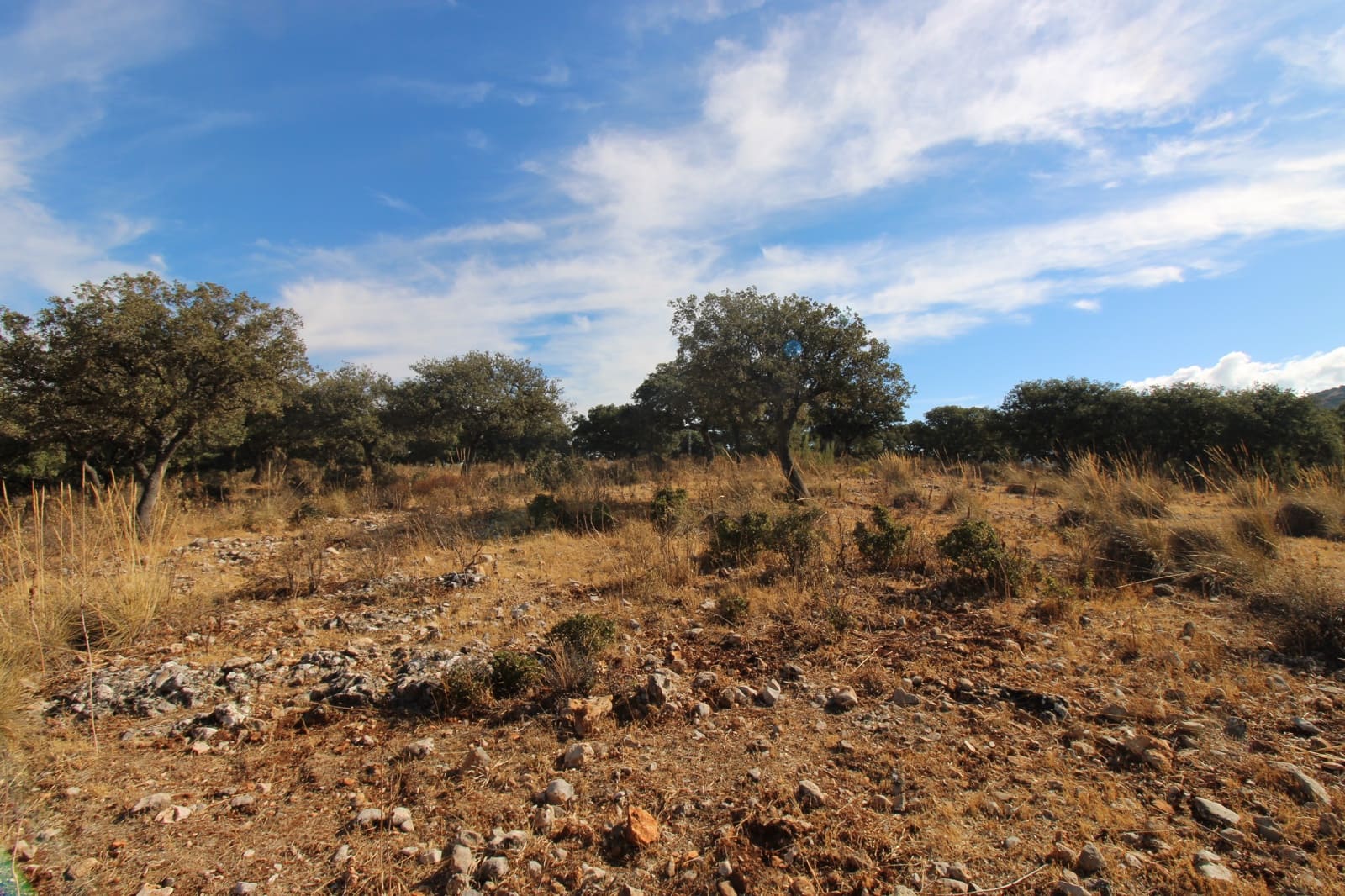 3 bedroom Finca/Country House for sale in Ronda - € 325,000 (Ref: 10162049)