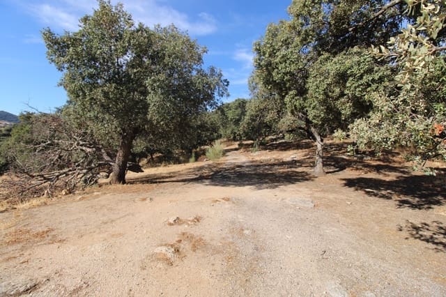 3 soveværelse Finca/Landehus til salg i Ronda - € 325.000 (Ref: 10162049)