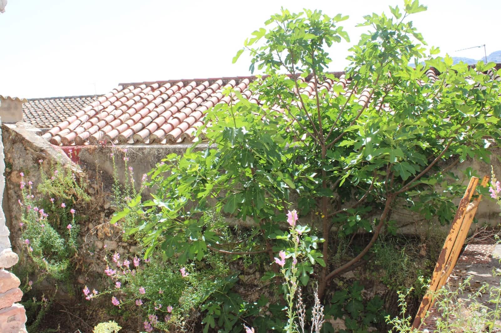 4 soveværelse Byhus til salg i Benaojan - € 79.000 (Ref: 7563581)