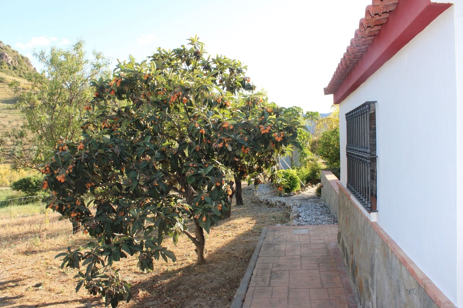 2 bedroom Finca/Country House for sale in El Gastor - € 320,000 (Ref: 7570323)