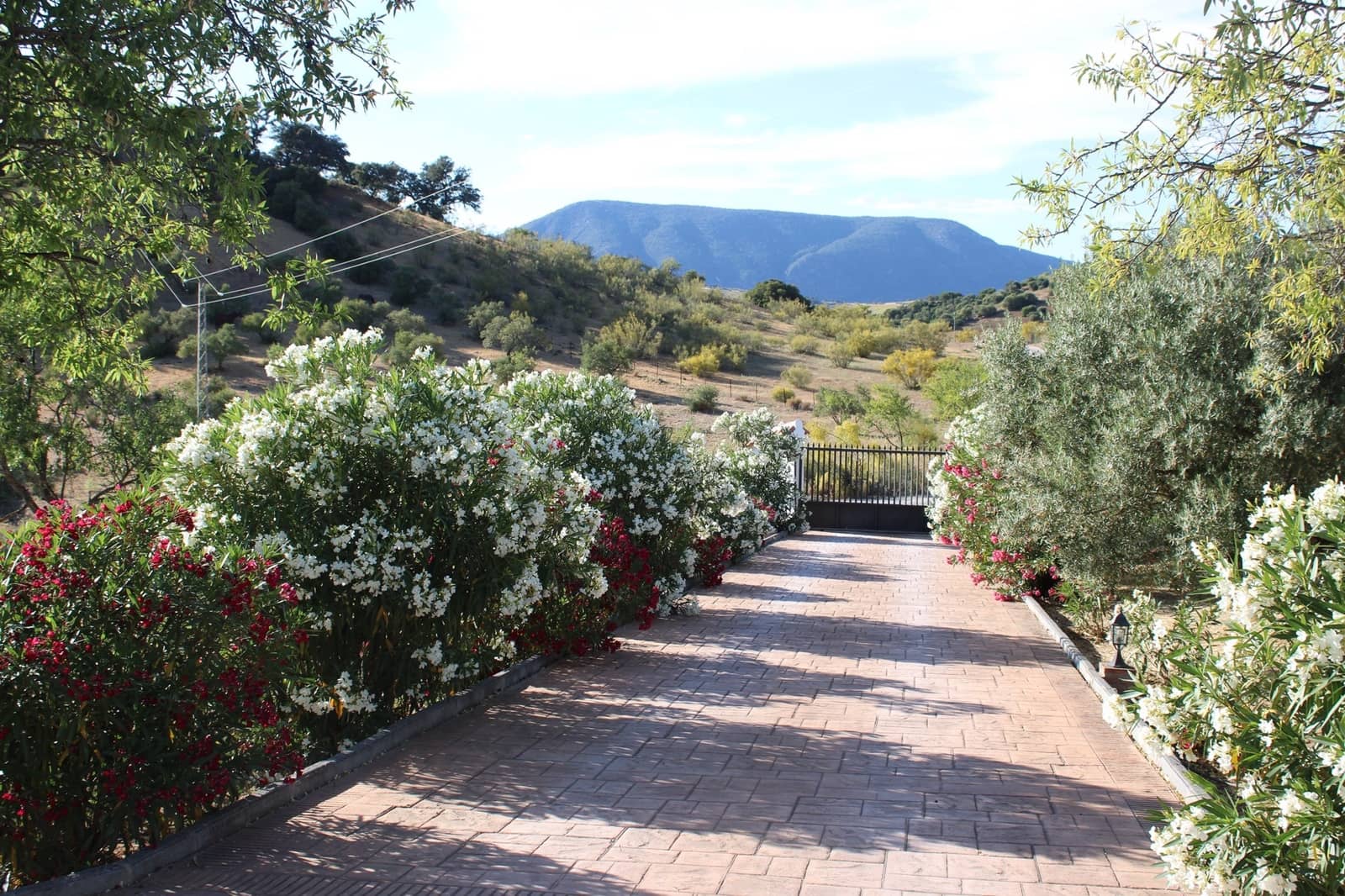 2 bedroom Finca/Country House for sale in El Gastor - € 320,000 (Ref: 7570323)