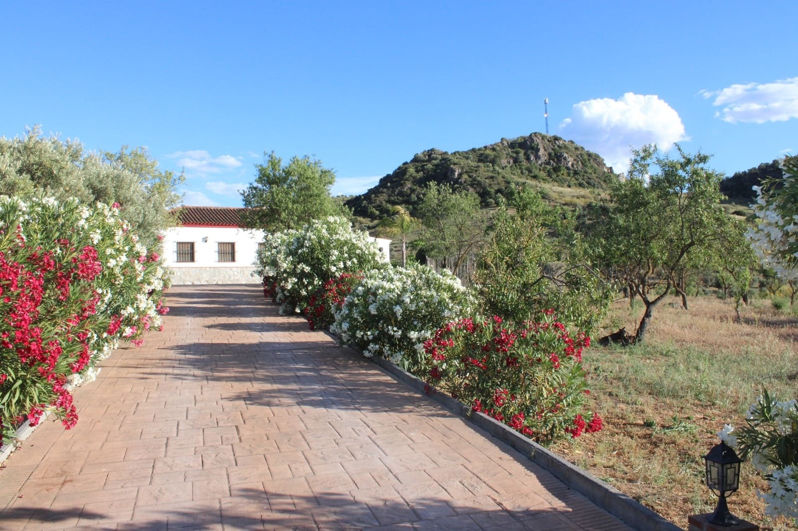 2 bedroom Finca/Country House for sale in El Gastor - € 320,000 (Ref: 7570323)