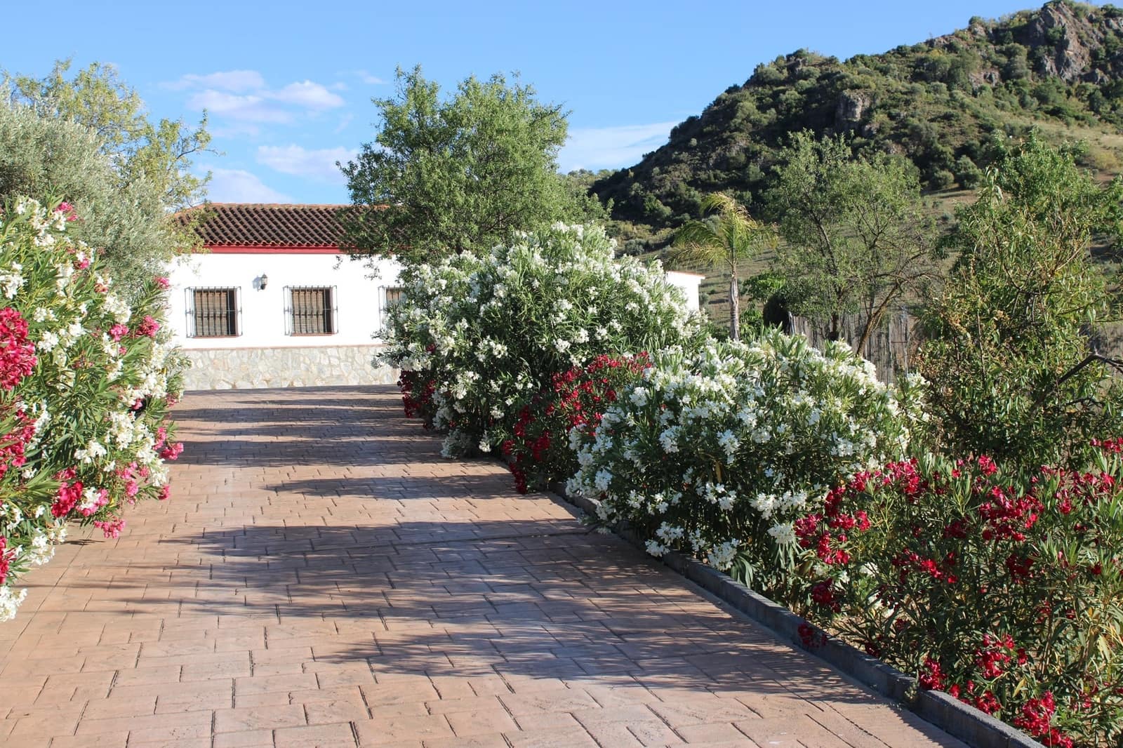 2 bedroom Finca/Country House for sale in El Gastor - € 320,000 (Ref: 7570323)