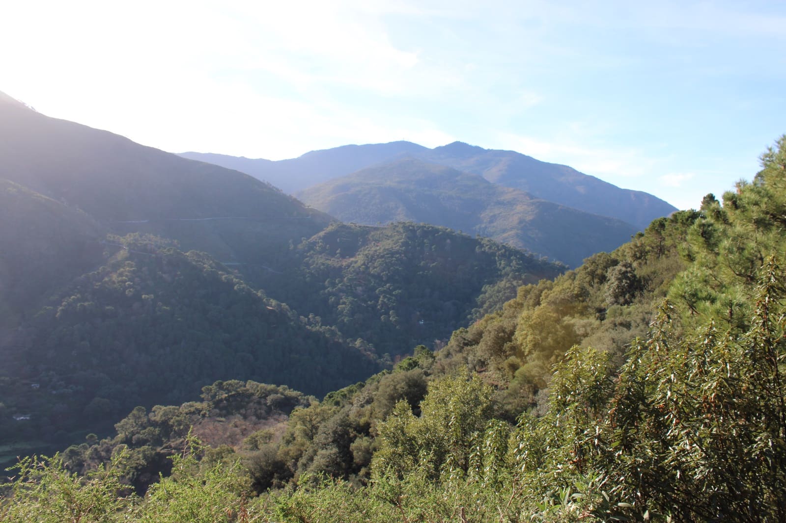 5 soveværelse Finca/Landehus til salg i Jubrique - € 1.125.000 (Ref: 8742592)