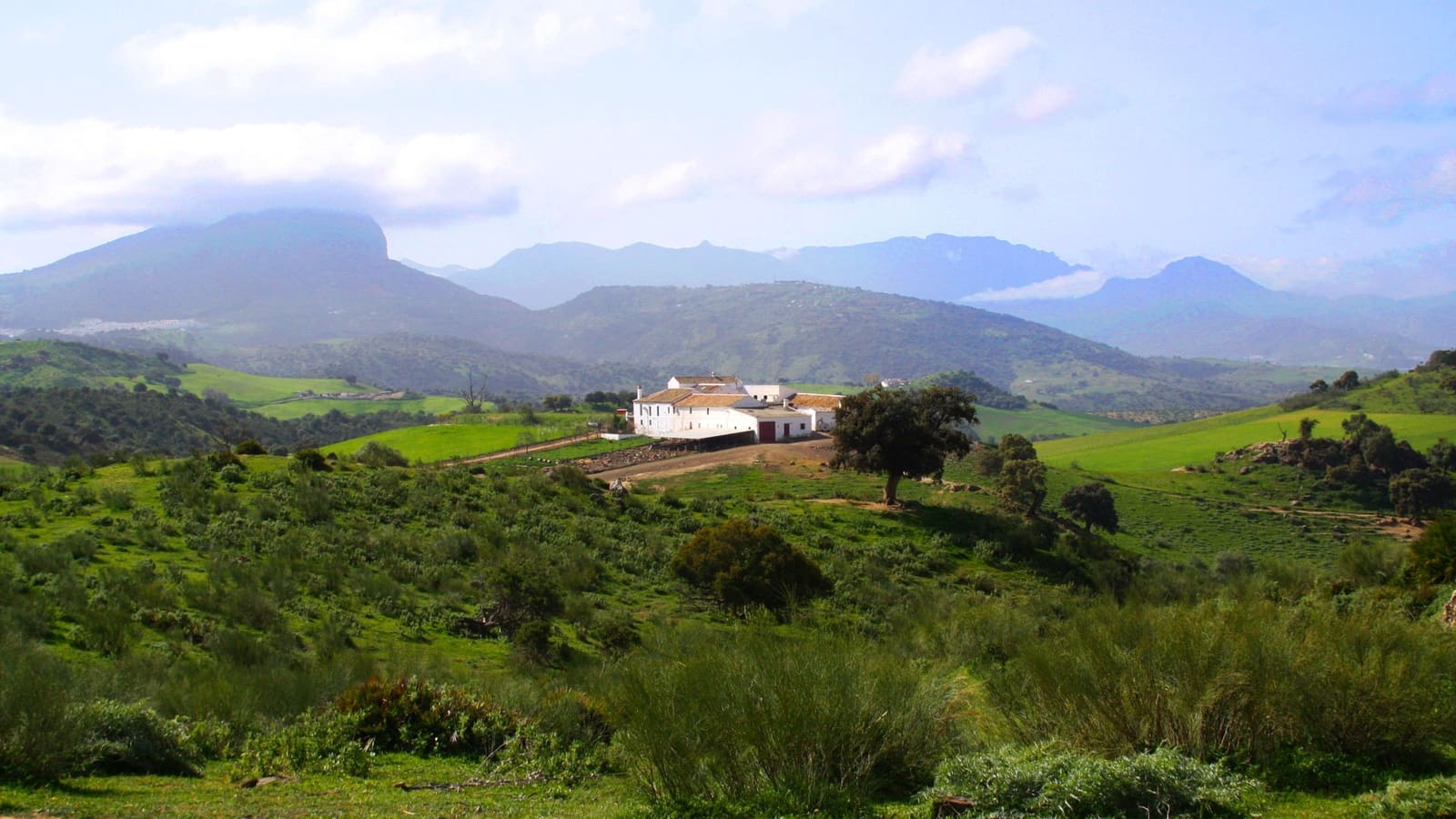 10 soveværelse Finca/Landehus til salg i Olvera - € 3.000.000 (Ref: 8866305)