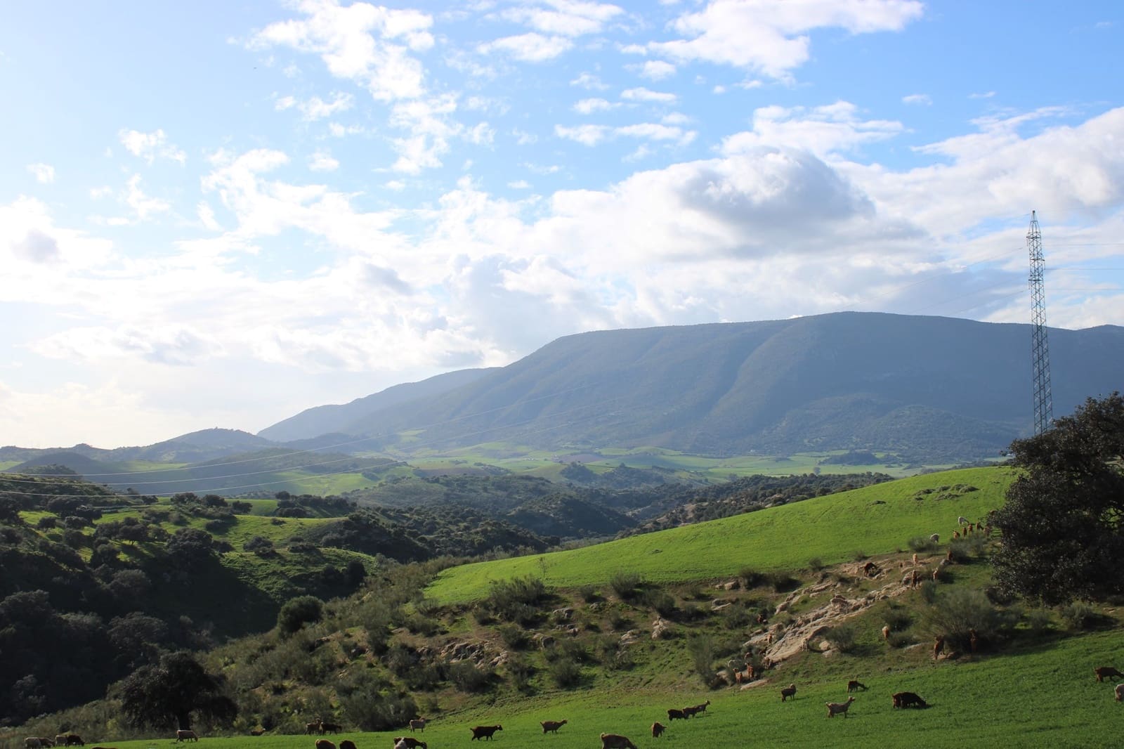 10 soveværelse Finca/Landehus til salg i Olvera - € 3.000.000 (Ref: 8866305)