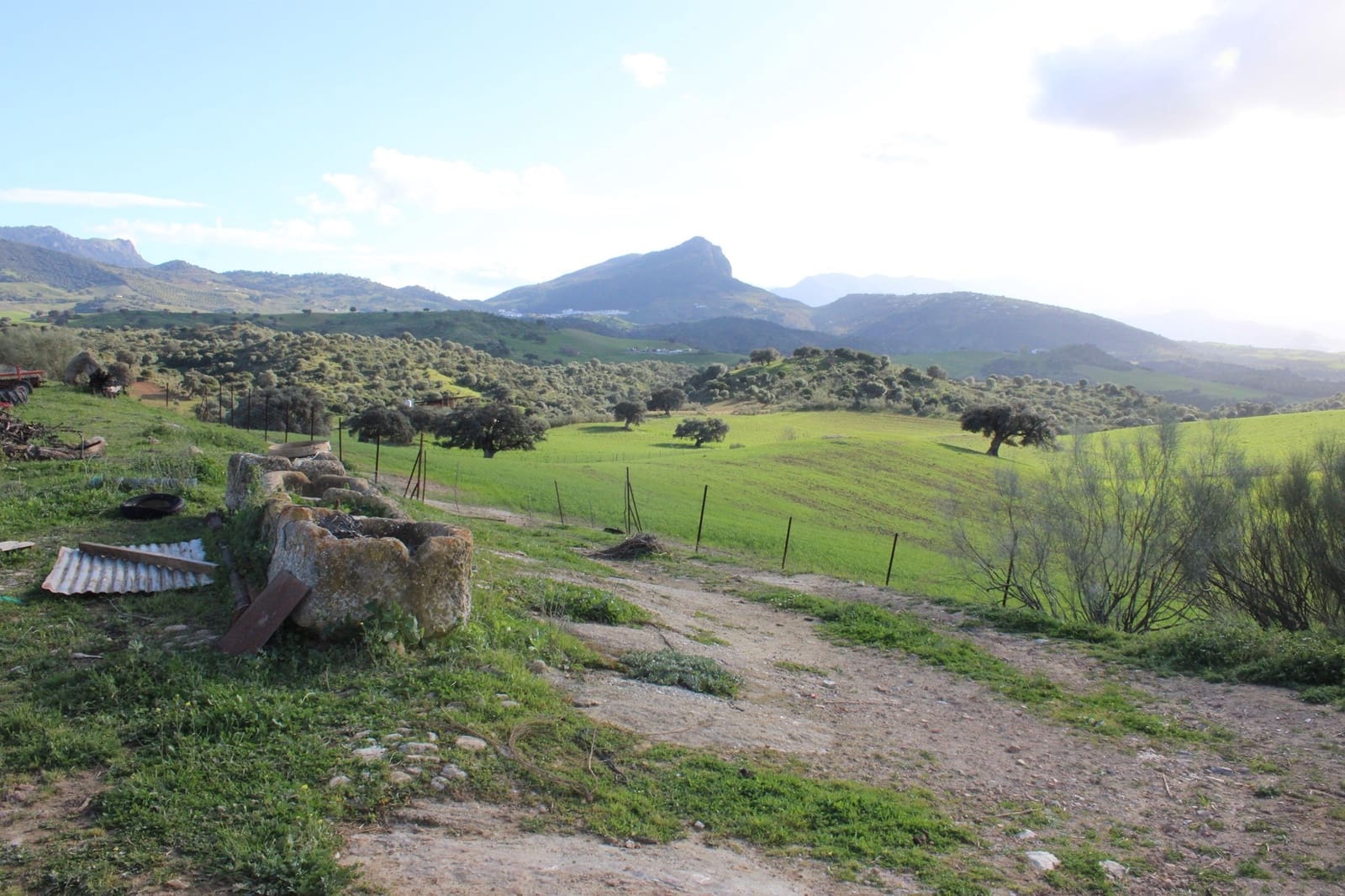 10 soveværelse Finca/Landehus til salg i Olvera - € 3.000.000 (Ref: 8866305)