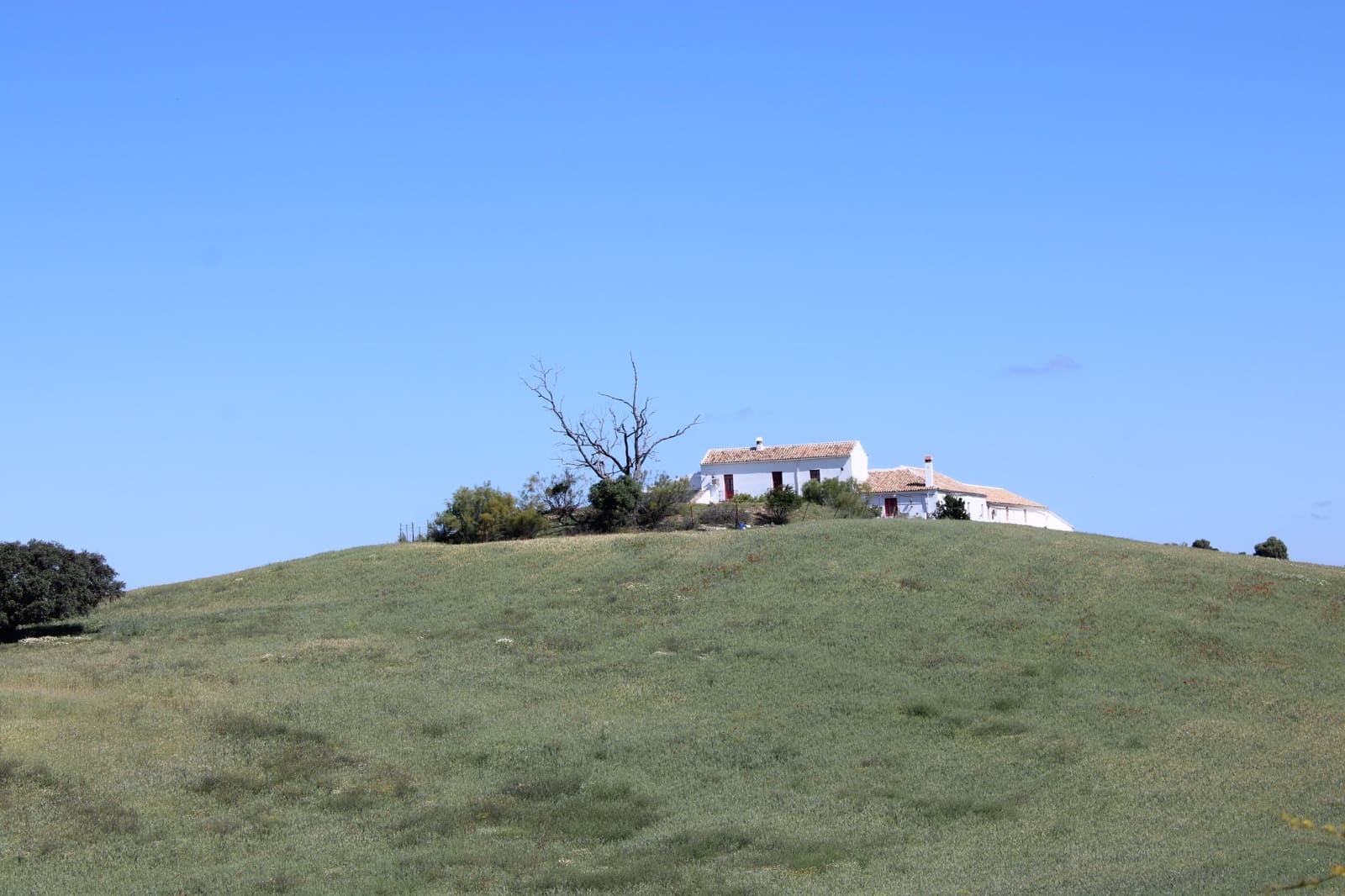 10 soveværelse Finca/Landehus til salg i Olvera - € 3.000.000 (Ref: 8866305)