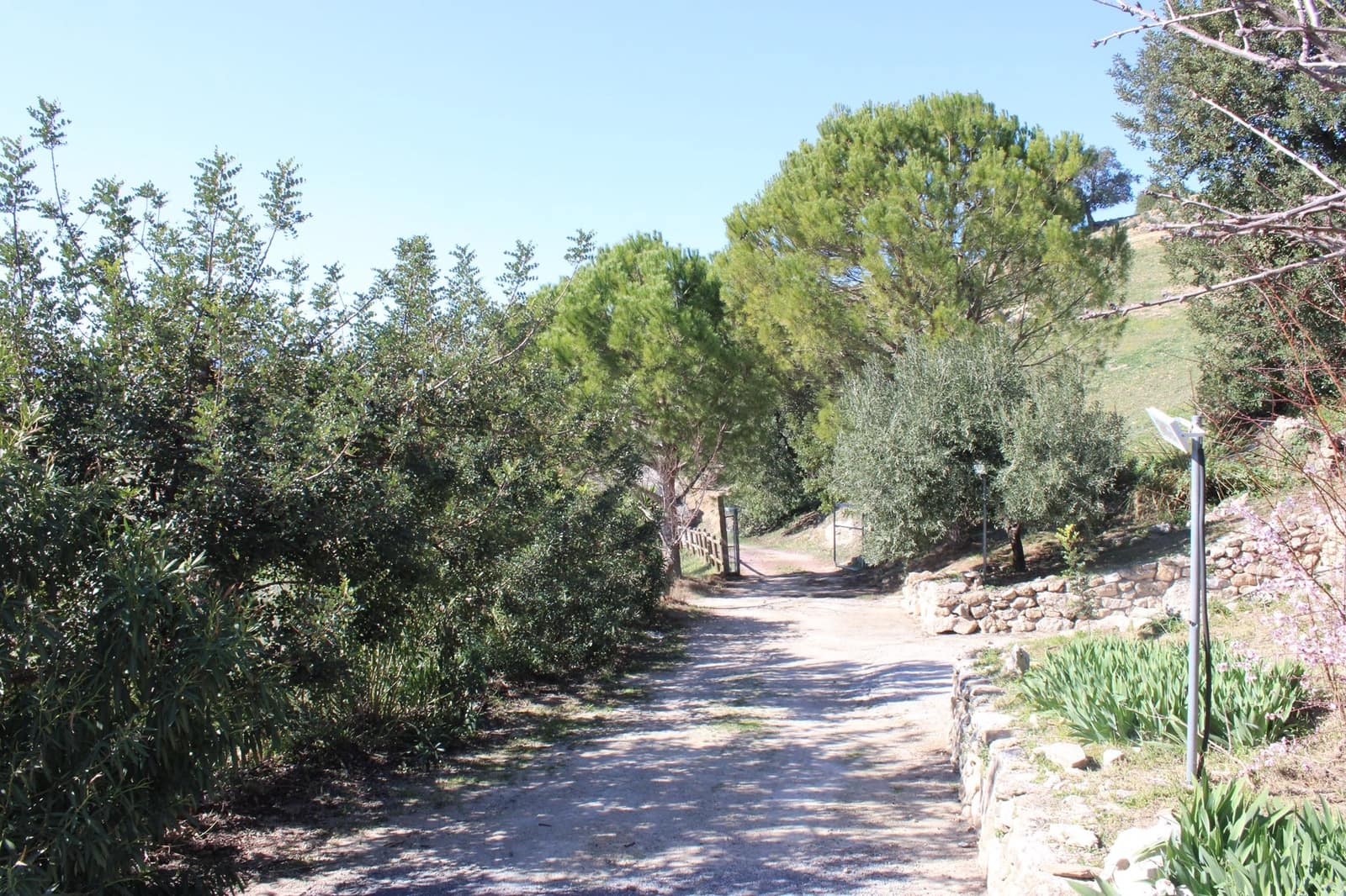 3 soverom Finca/Herregård til salgs i El Gastor med svømmebasseng - € 2 100 000 (Ref: 8882005)