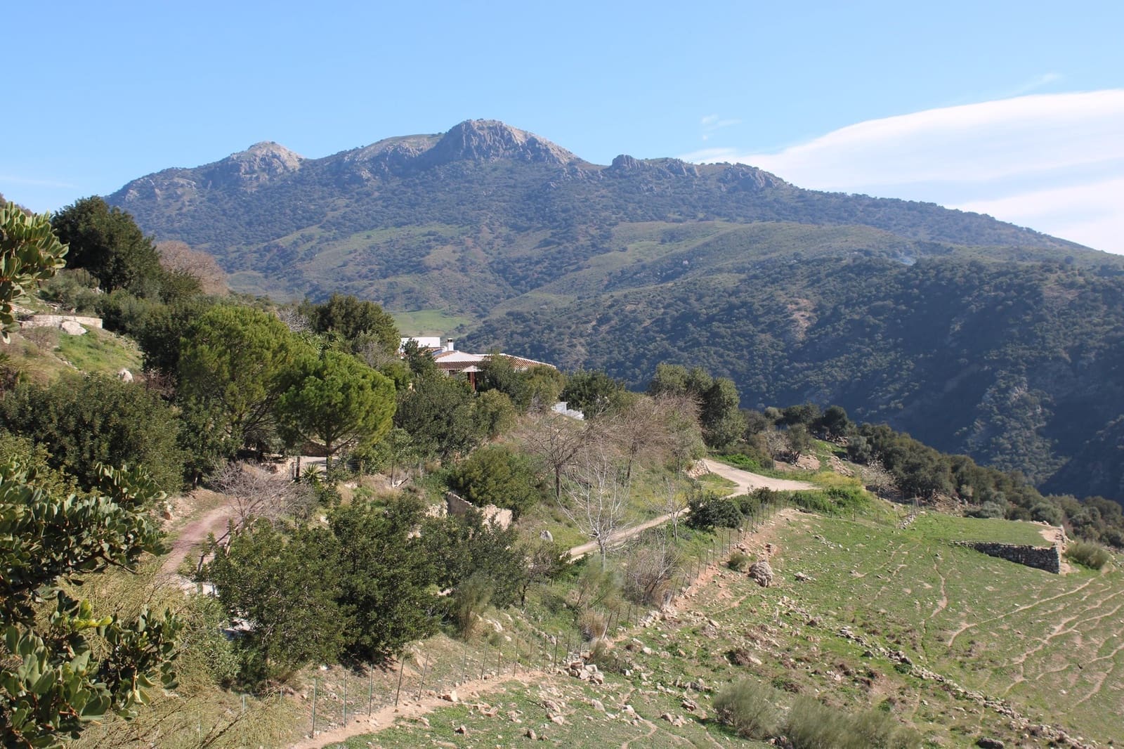 3 soverom Finca/Herregård til salgs i El Gastor med svømmebasseng - € 2 100 000 (Ref: 8882005)