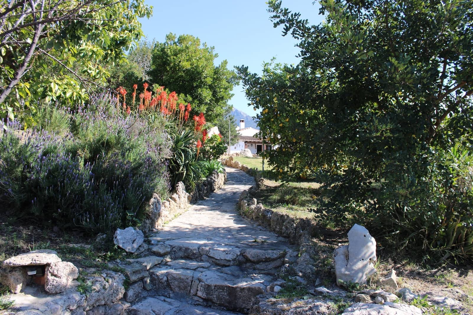 3 soverom Finca/Herregård til salgs i El Gastor med svømmebasseng - € 2 100 000 (Ref: 8882005)