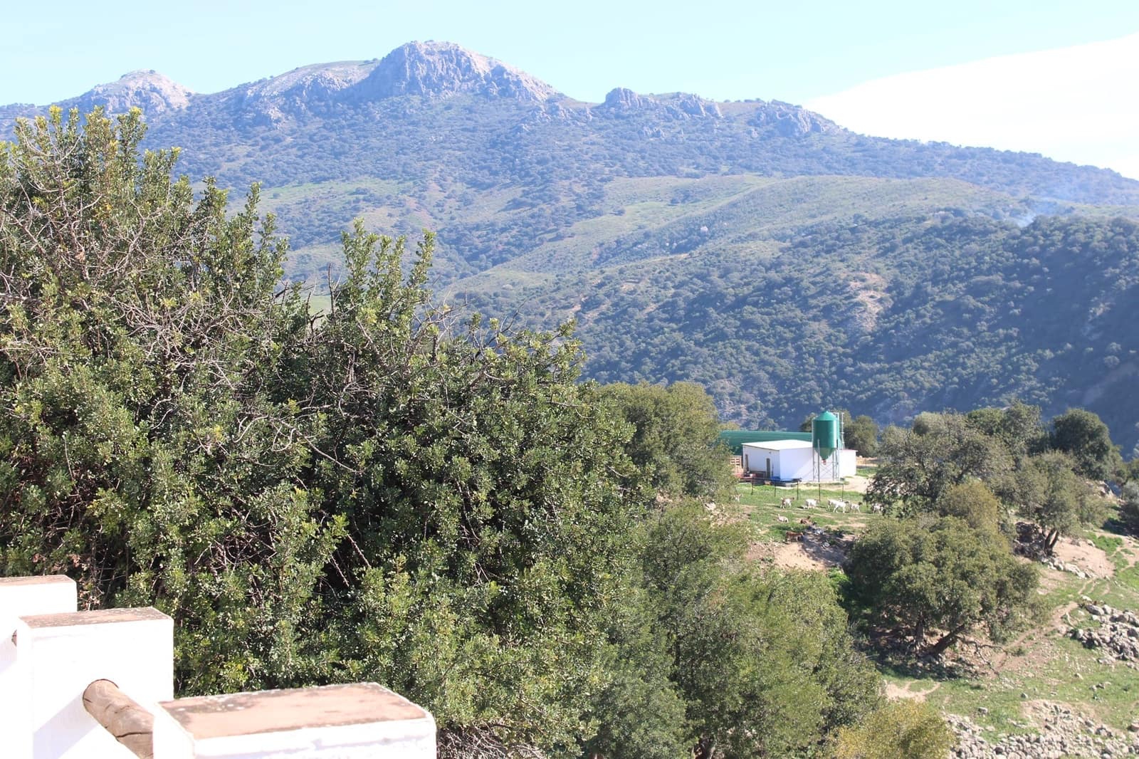 3 soverom Finca/Herregård til salgs i El Gastor med svømmebasseng - € 2 100 000 (Ref: 8882005)