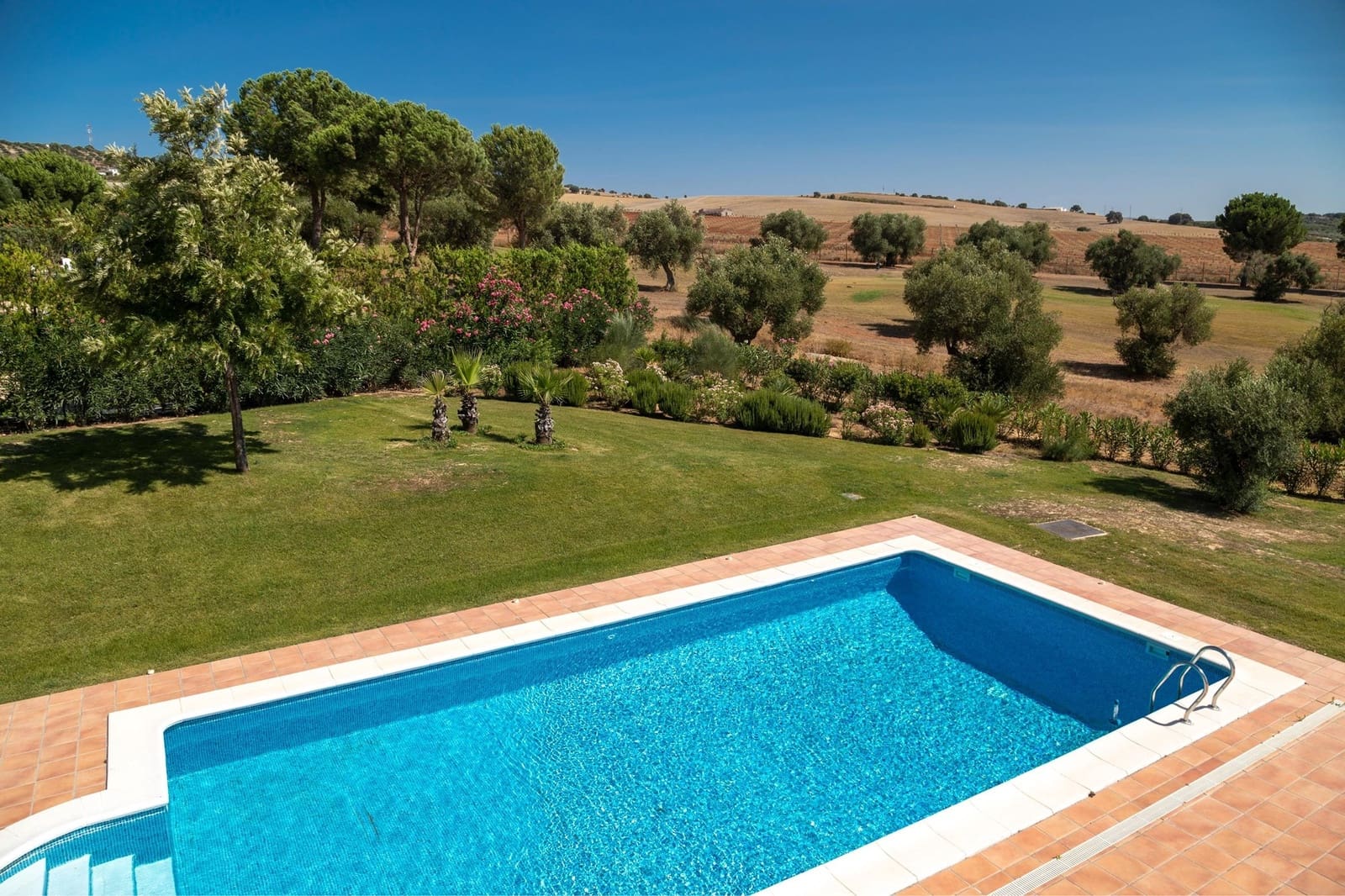 5 soveværelse Finca/Landehus til salg i Arcos de la Frontera med swimmingpool - € 795.000 (Ref: 8882006)