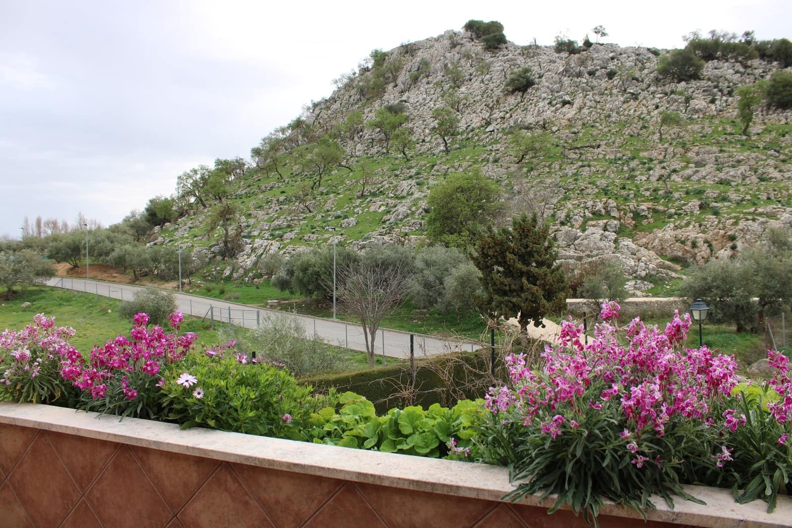 5 soveværelse Finca/Landehus til salg i Cuevas del Becerro - € 680.000 (Ref: 8882267)