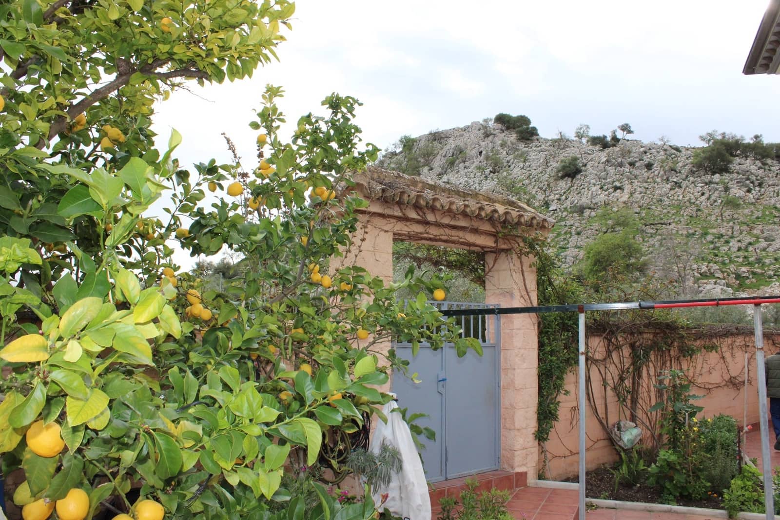 5 soveværelse Finca/Landehus til salg i Cuevas del Becerro - € 680.000 (Ref: 8882267)