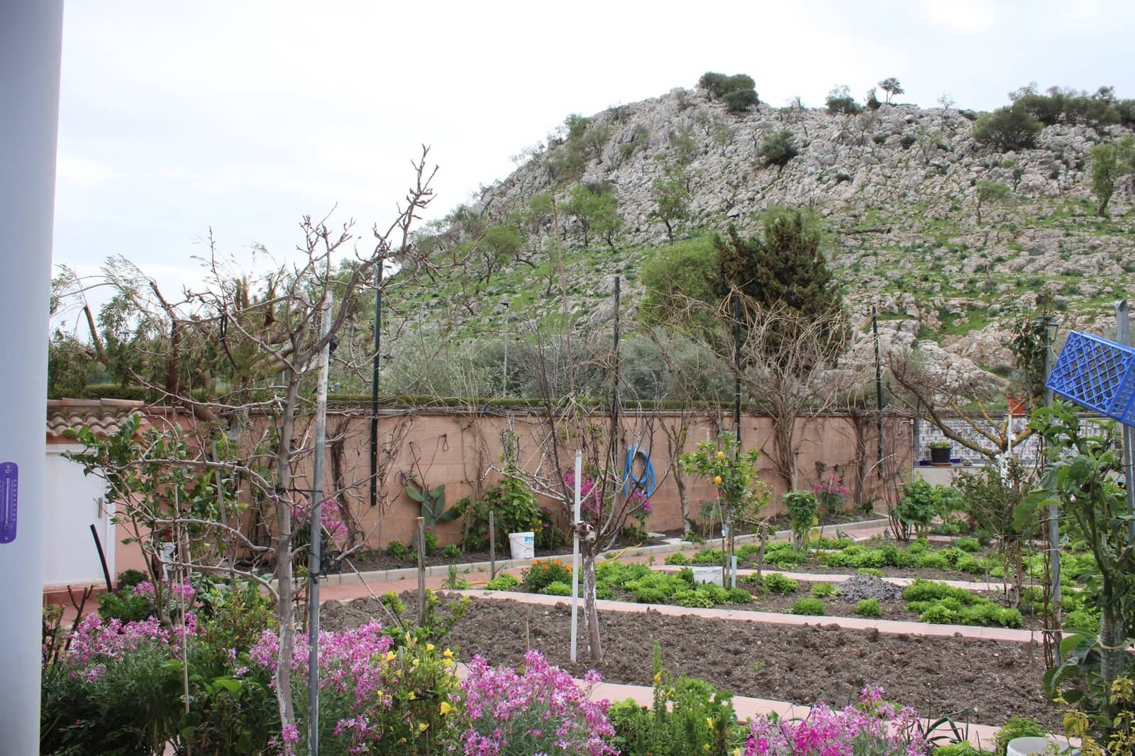 5 soveværelse Finca/Landehus til salg i Cuevas del Becerro - € 680.000 (Ref: 8882267)