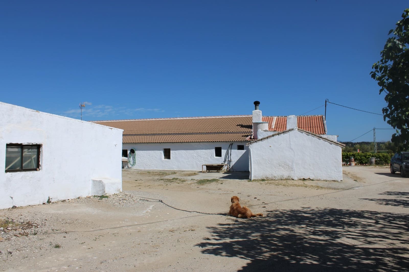 5 slaapkamer Finca/Landhuis te koop in Ronda - € 450.000 (Ref: 8882268)