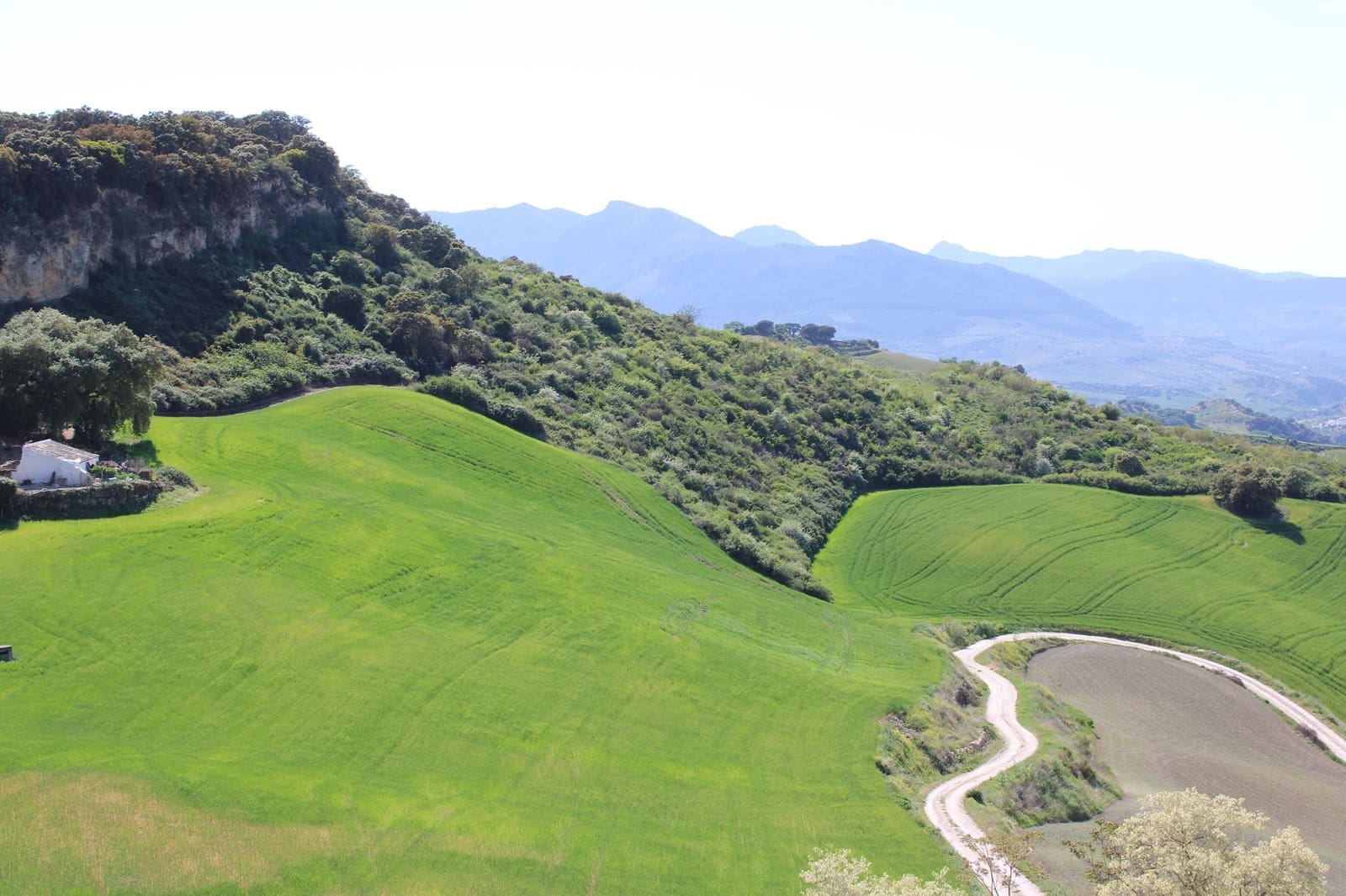 5 slaapkamer Finca/Landhuis te koop in Ronda - € 450.000 (Ref: 8882268)