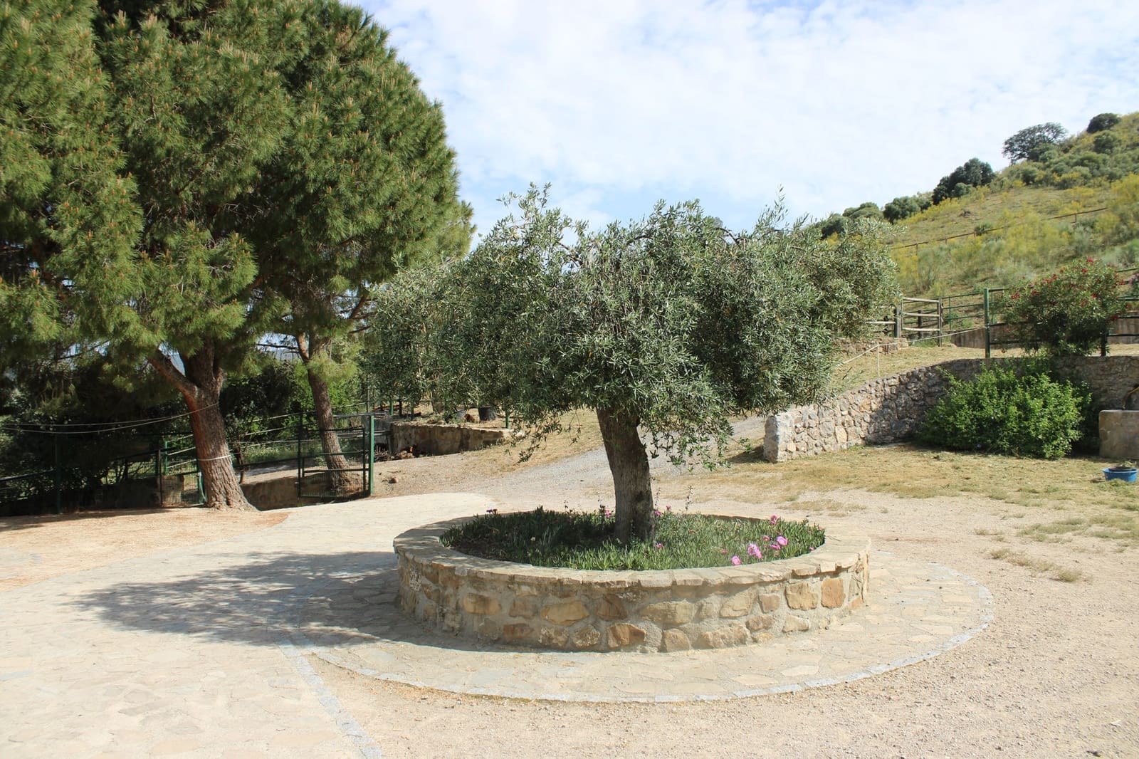 7 soveværelse Finca/Landehus til salg i Grazalema - € 900.000 (Ref: 8882269)