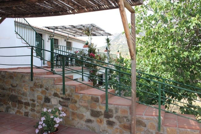 7 soveværelse Finca/Landehus til salg i Grazalema - € 900.000 (Ref: 8882269)