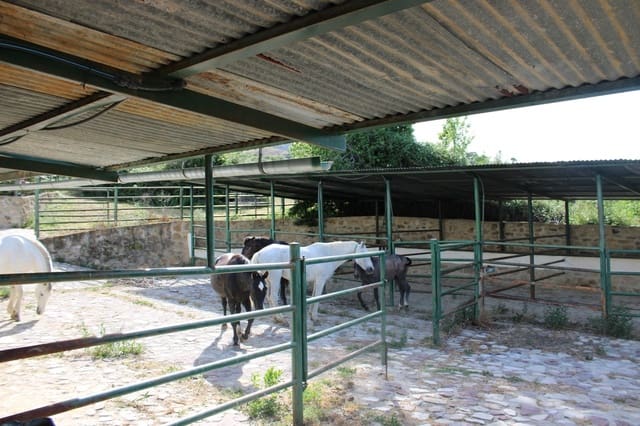 7 soveværelse Finca/Landehus til salg i Grazalema - € 900.000 (Ref: 8882269)