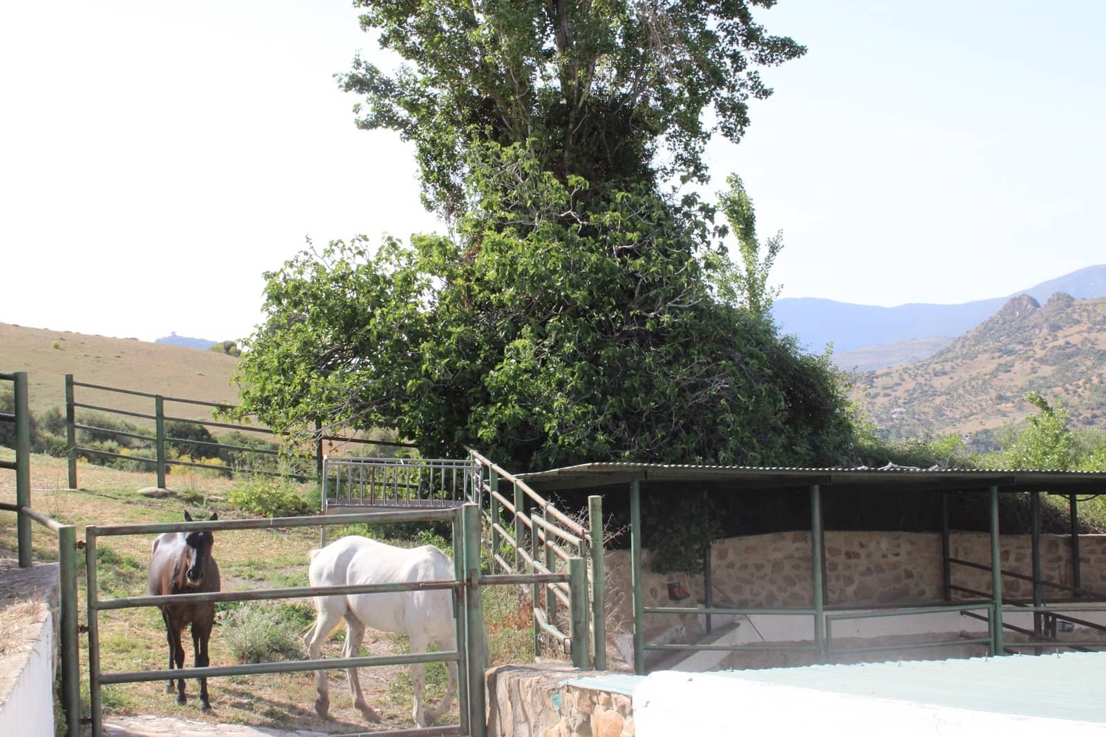 7 soveværelse Finca/Landehus til salg i Grazalema - € 900.000 (Ref: 8882269)